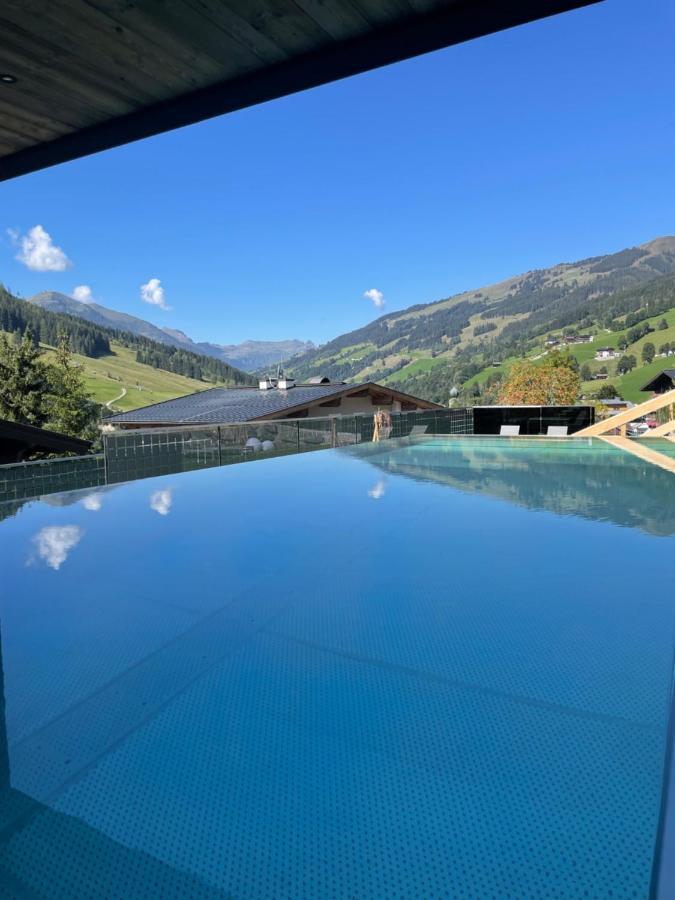 Apartment Gappmaier Saalbach